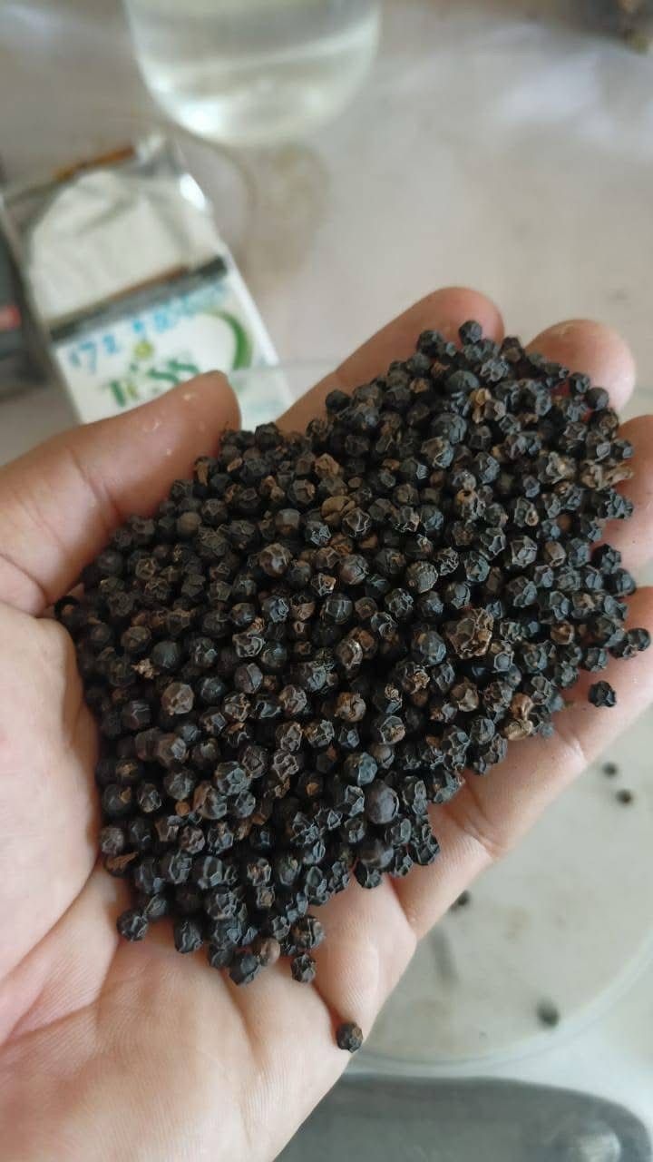 Black Pepper